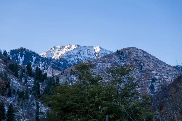 Paisaje Invernal Con Árboles Montañas —  Fotos de Stock