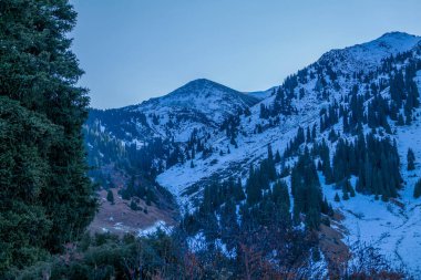 Ağaçlar ve dağlarla kaplı kış manzarası