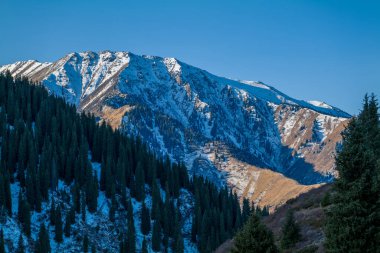 Kazakistan 'ın Alamty şehri yakınlarındaki Tian-Shan dağında harika güneşli bir gün. 