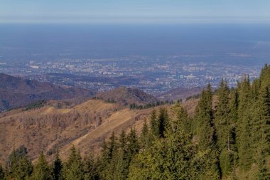 Ağaçlar ve dağlarla kaplı kış manzarası