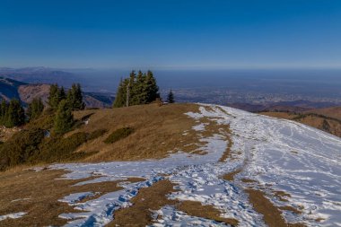 Ağaçlar ve dağlarla kaplı kış manzarası