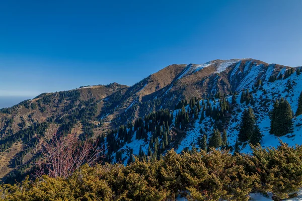 Excellente Journée Ensoleillée Dans Montagne Tian Shan Près Ville Alamty — Photo