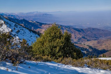Kazakistan 'ın Alamty şehri yakınlarındaki Tian-Shan dağında harika güneşli bir gün. 