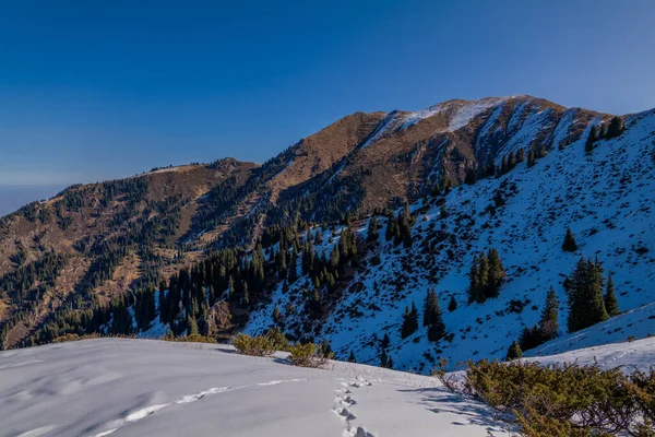 Erstaunlich Guter Sonniger Tag Tian Shan Gebirge Nahe Der Stadt — Stockfoto