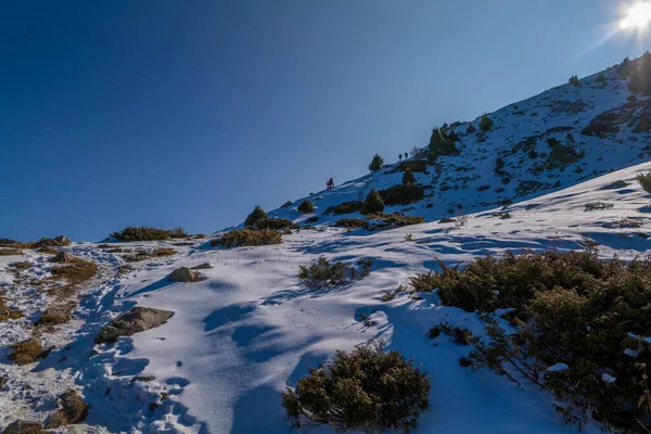 Καταπληκτική Καλή Ηλιόλουστη Μέρα Στο Βουνό Tian Shan Κοντά Στην — Φωτογραφία Αρχείου