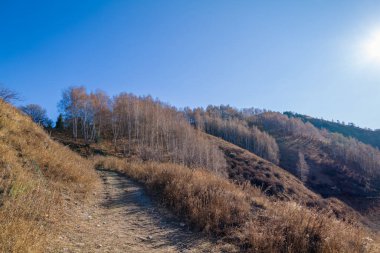 Sonbahar mevsiminde ağaçlar ve dağlarla dolu güzel bir manzara.