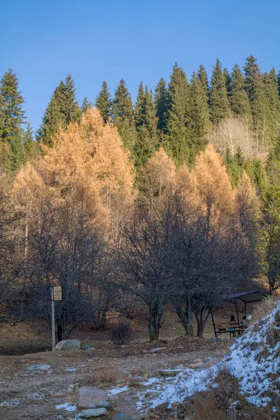 Winterlandschap Met Bomen Bergen — Stockfoto