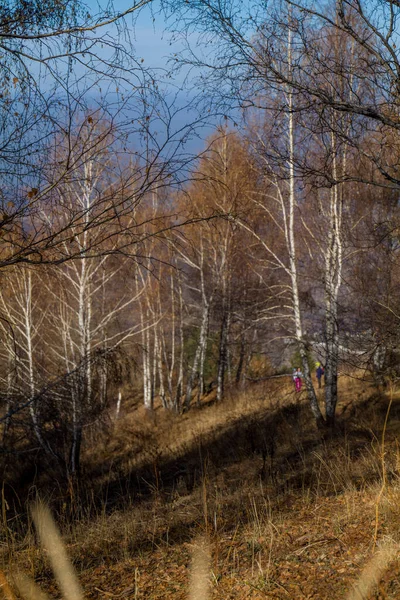 Bela Paisagem Com Árvores Montanhas Temporada Outono — Fotografia de Stock