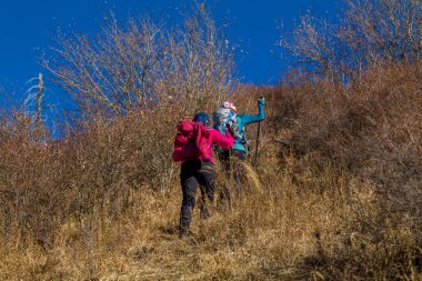 Grup dağlarda hiking yürüyüşçü 