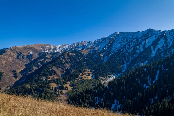 Excellente Journée Ensoleillée Dans Montagne Tian Shan Près Ville Alamty — Photo