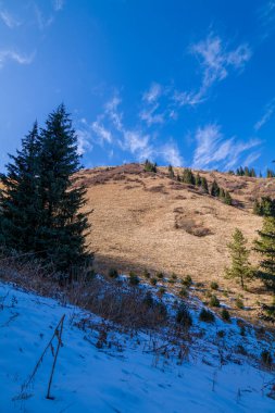 Kazakistan 'ın Alamty şehri yakınlarındaki Tian-Shan dağında harika güneşli bir gün. 