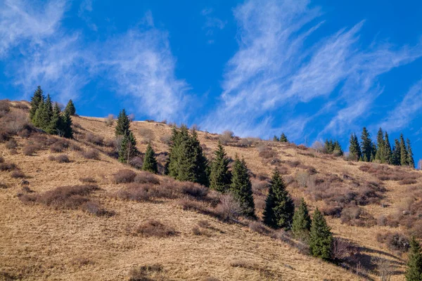 Erstaunlich Guter Sonniger Tag Tian Shan Gebirge Nahe Der Stadt — Stockfoto