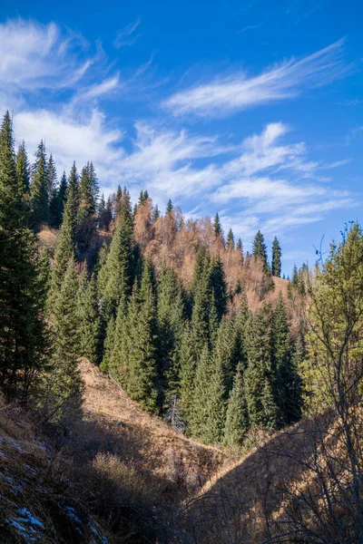 Erstaunlich Guter Sonniger Tag Tian Shan Gebirge Nahe Der Stadt — Stockfoto