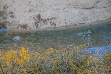 Sonbahar mevsiminde dağ nehri manzarası, seyahat kavramı 
