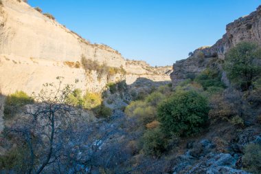 Arkasında dağlar olan güzel bir manzara.