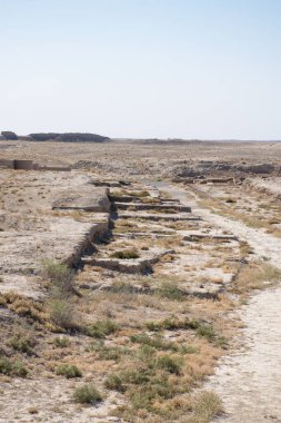 Türkistan Antik Sauran, seyahat kavramı 