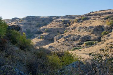 Sonbahar mevsiminde renkli ağaçlı dağların manzarası