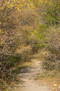 Dağlardaki parkın güzel manzarası