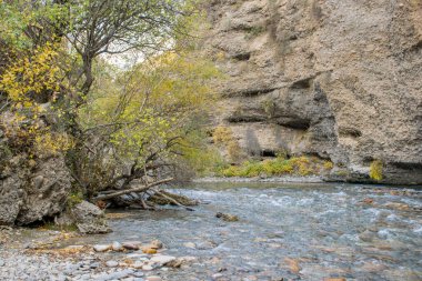 Sonbahar mevsiminde dağ nehrinin manzarası, seyahat konsepti 