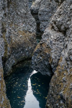 Sonbahar mevsiminde dağ nehrinin manzarası, seyahat konsepti 