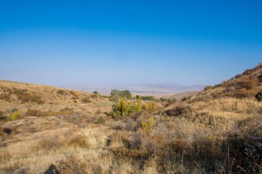 Sonbahar mevsiminde renkli ağaçlı dağların manzarası