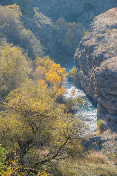 Sonbahar mevsiminde dağ nehrinin manzarası, seyahat konsepti 