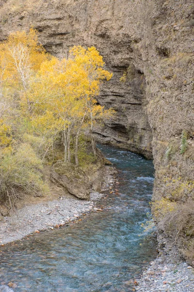 Vista Panorâmica Rio Montanha Temporada Outono Conceito Viagem — Fotografia de Stock