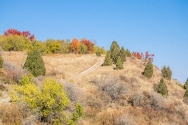 Sonbahar mevsiminde renkli ağaçlı dağların manzarası