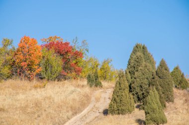 Sonbahar mevsiminde renkli ağaçlı dağların manzarası