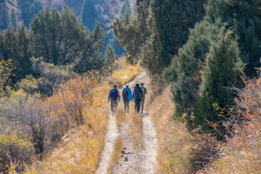 Aksu-Zhabagly, Kazakistan - Ekim 2020: Turistler Kazakistan 'ın güneyindeki Aksu-Zhabagly Nature Reserve' de Aksu Kanyonu 'nda yürüyüş yaptılar 