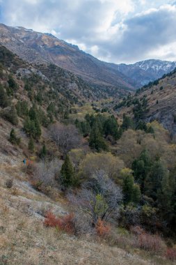 Kazakistan dağlarının gündüz, sonbahar mevsimi, seyahat konsepti manzarası   