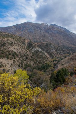 Kazakistan dağlarının gündüz, sonbahar mevsimi, seyahat konsepti manzarası   