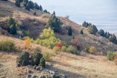 Aksu Kanyonu, Şilimkent yakınlarındaki Kazakistan Cumhuriyeti 'nin güneyindeki Aksu-Zhabagly Doğa Koruma Alanı..