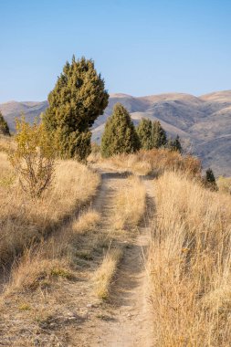 Kazakistan dağlarının gündüz, sonbahar mevsimi, seyahat konsepti manzarası   