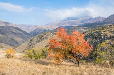 Kazakistan dağlarının gündüz, sonbahar mevsimi, seyahat konsepti manzarası   