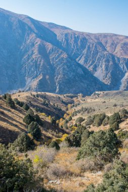 Kazakistan dağlarının gündüz, sonbahar mevsimi, seyahat konsepti manzarası   
