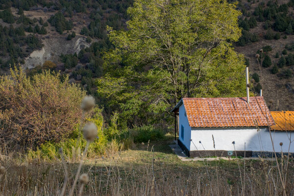 красивый вид на сельскую местность