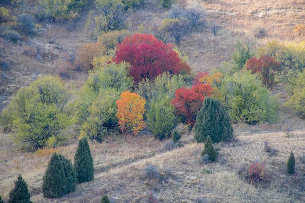 Aksu Canyon Het Natuurreservaat Aksu Zhabagly Zuidelijke Provincie Van Republiek — Stockfoto