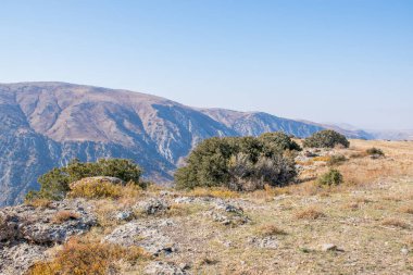 Kazakistan dağlarının gündüz, sonbahar mevsimi, seyahat konsepti manzarası   