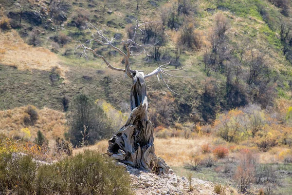 Aksu Zhabagly Kazakhstan Octobre 2020 Les Touristes Font Une Randonnée — Photo