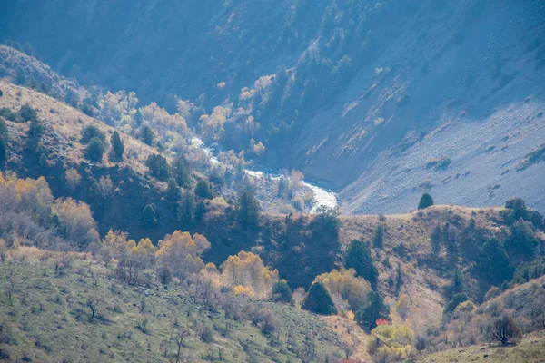 Aksu Canyon Nella Riserva Naturale Aksu Zhabagly Nella Provincia Meridionale — Foto Stock