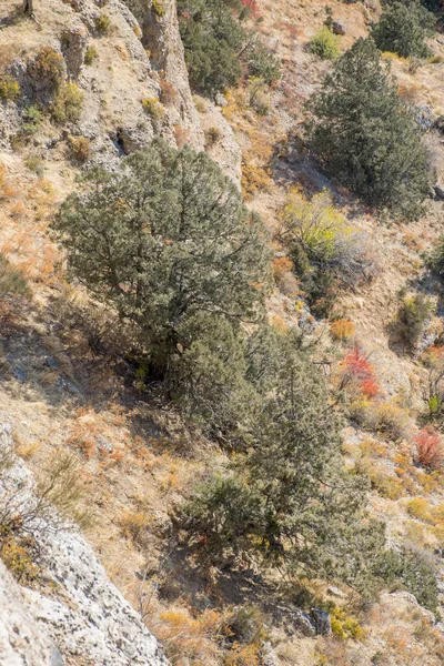 Aksu Canyon Dans Réserve Naturelle Aksu Zhabagly Dans Province Méridionale — Photo