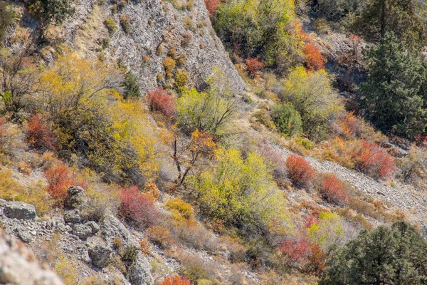 Aksu Canyon Aksu Zhabagly Nature Reserve Στη Νότια Επαρχία Της — Φωτογραφία Αρχείου