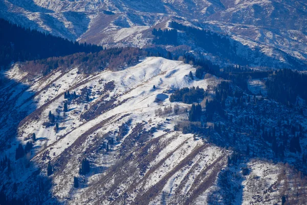 Úžasný Slunečný Den Horách Tian Shan Poblíž Města Alamty Kazachstánu — Stock fotografie