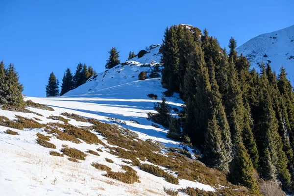 Amazing good sunny day in Tian-Shan mountain near Alamty city in Kazakhstan. Best place for climbing, hiking and trekking in Central Asia.