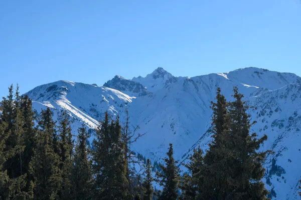 Amazing good sunny day in Tian-Shan mountain near Alamty city in Kazakhstan. Best place for climbing, hiking and trekking in Central Asia.