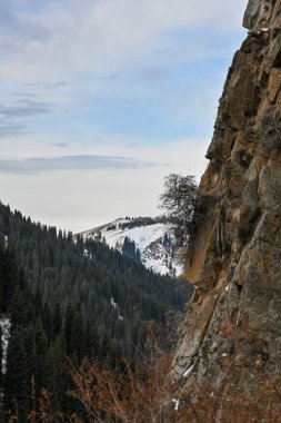 Kazakistan 'ın Alamty kenti yakınlarındaki Tian-Shan dağında harika güneşli bir gün. Orta Asya 'da tırmanış, yürüyüş ve yürüyüş için en iyi yer..