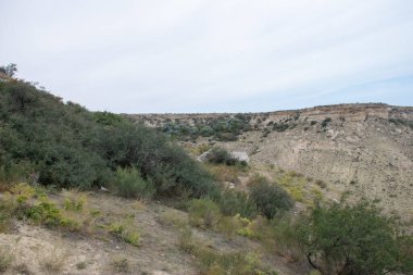 Mangysrau çölündeki yeşil dağ kanyonu, Aktau bölgesi, Kazakistan.