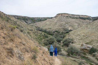 Mangysrau çölündeki yeşil dağ kanyonu, Aktau bölgesi, Kazakistan.