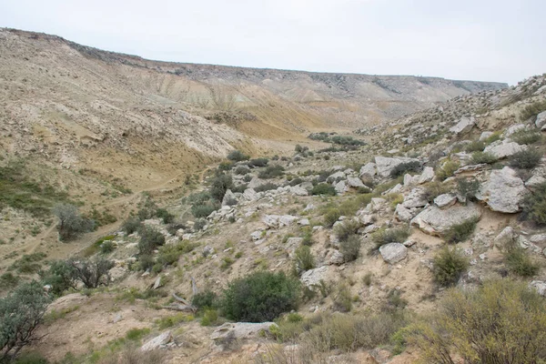 Cañón Montaña Verde Desierto Mangysrau Región Aktau Kazajstán — Foto de Stock